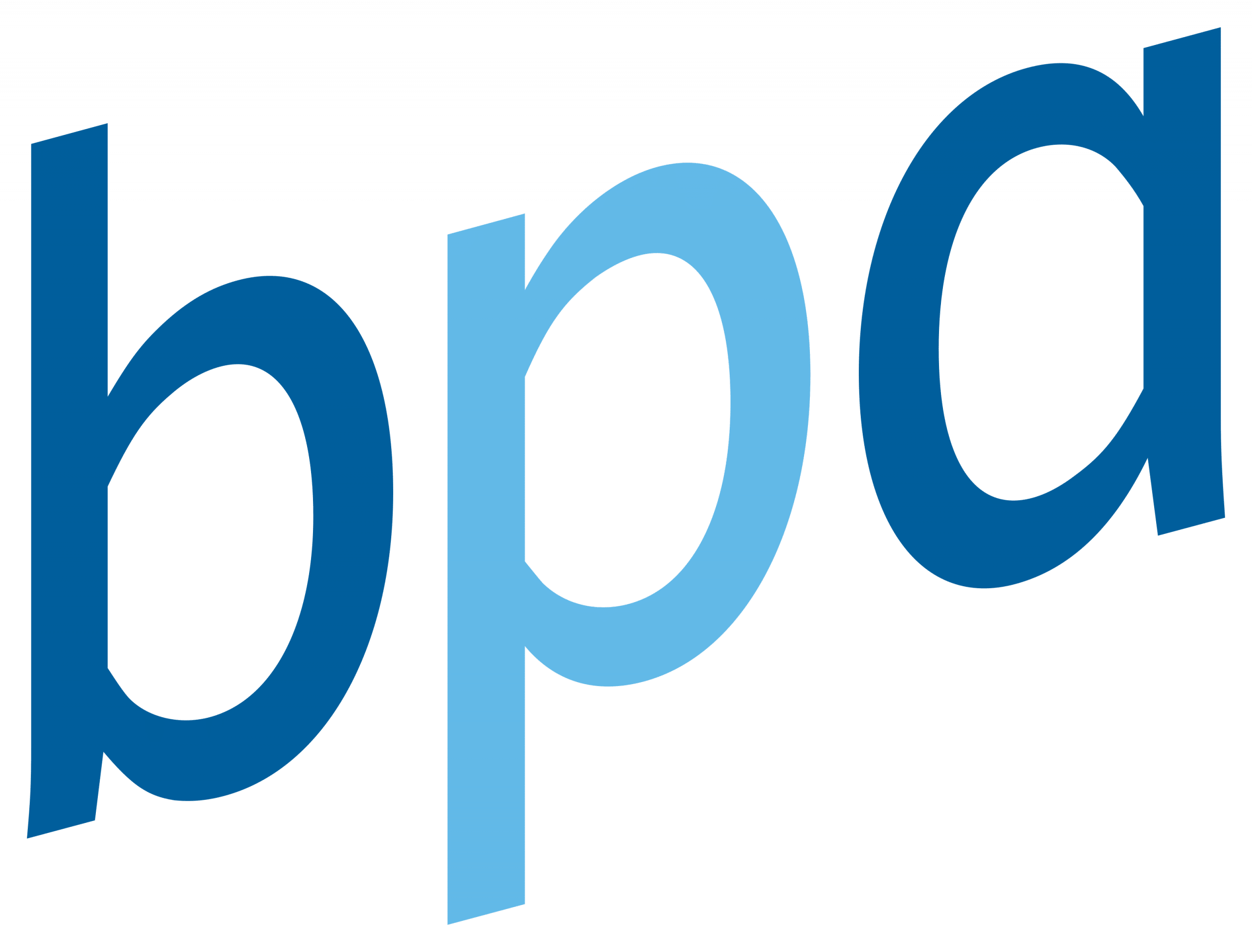 Bundesverband_privater_Anbieter_sozialer_Dienste_logo